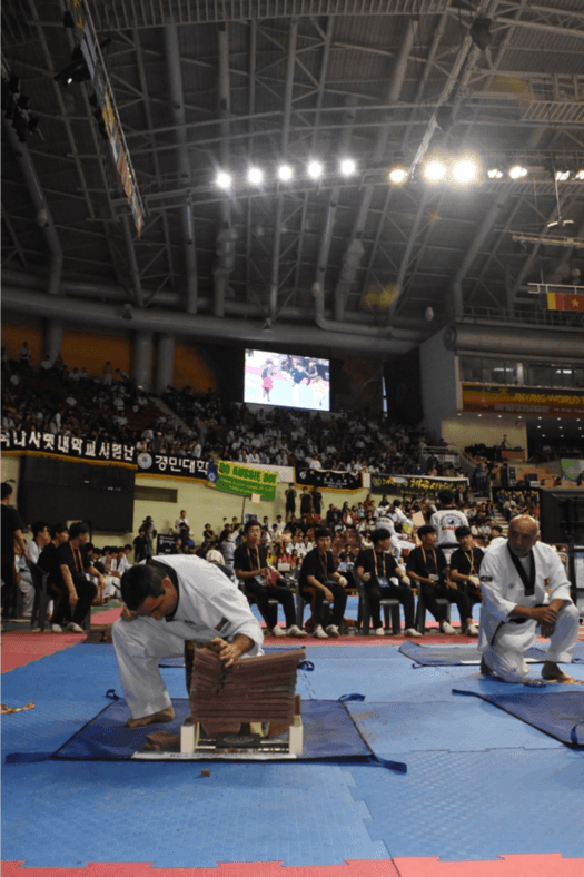 Read more about the article Campeonato Hanmadang Corea 2019