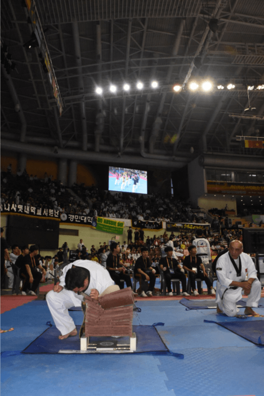 Read more about the article Campeonato Hanmadang Corea 2017